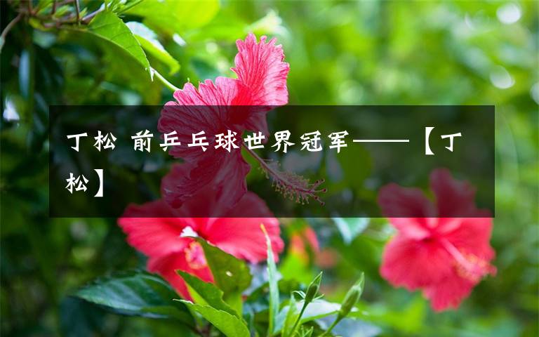 丁松 前乒乓球世界冠军——【丁松】