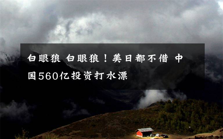 白眼狼 白眼狼！美日都不借 中国560亿投资打水漂