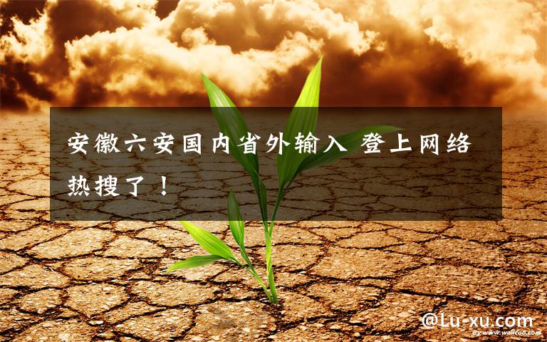 安徽六安国内省外输入 登上网络热搜了！