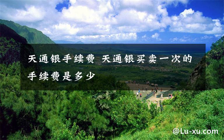 天通银手续费 天通银买卖一次的手续费是多少