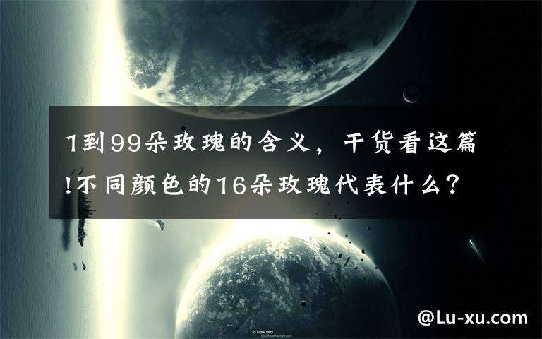 1到99朵玫瑰的含义,干货看这篇!不同颜色的16朵玫瑰代表什么?