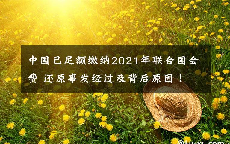 中国已足额缴纳2021年联合国会费 还原事发经过及背后原因！