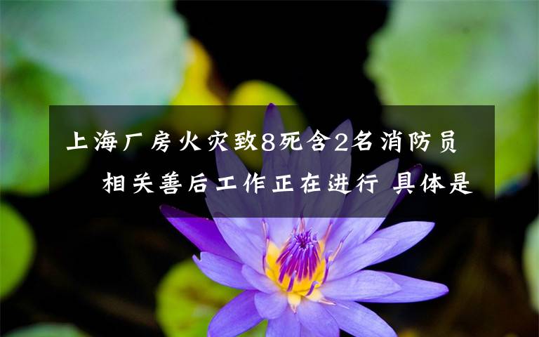 上海厂房火灾致8死含2名消防员  相关善后工作正在进行 具体是什么情况?