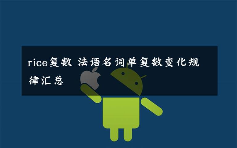 rice复数 法语名词单复数变化规律汇总