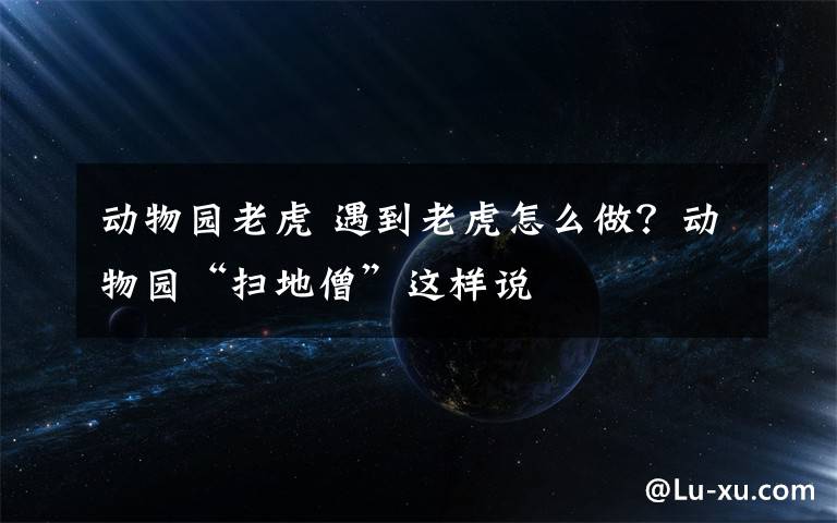 动物园老虎 遇到老虎怎么做?动物园“扫地僧”这样说