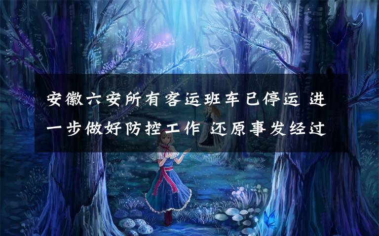 安徽六安所有客运班车已停运 进一步做好防控工作 还原事发经过及背后真相!