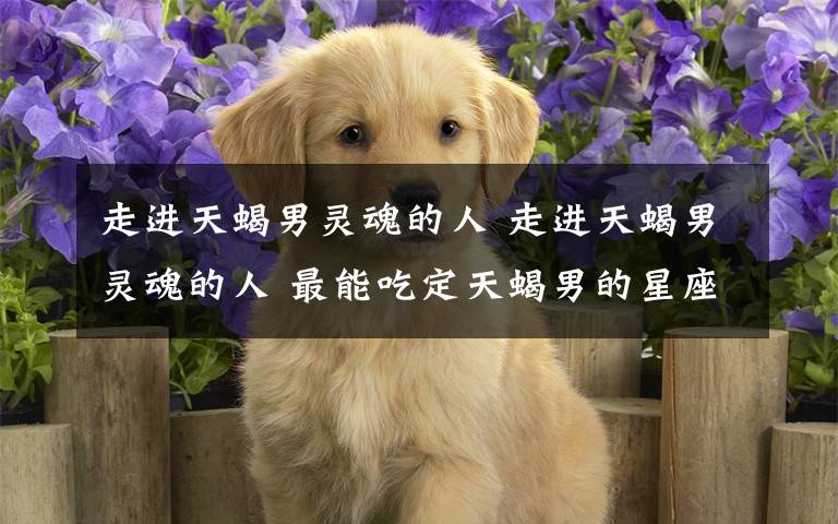 走进天蝎男灵魂的人 走进天蝎男灵魂的人 最能吃定天蝎男的星座