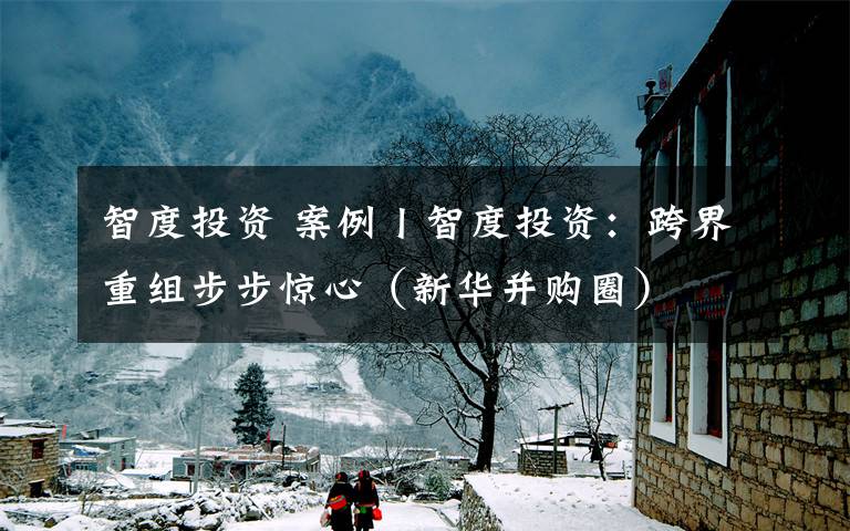 智度投资 案例丨智度投资:跨界重组步步惊心(新华并购圈)