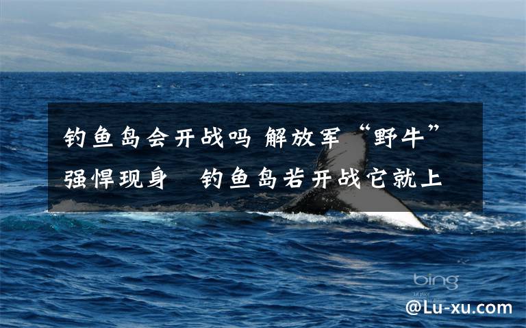 钓鱼岛会开战吗 解放军“野牛”强悍现身 钓鱼岛若开战它就上