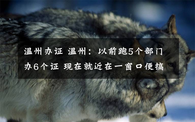 温州办证 温州:以前跑5个部门办6个证 现在就近在一窗口便搞定