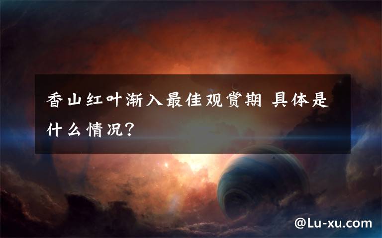 香山红叶渐入最佳观赏期 具体是什么情况?