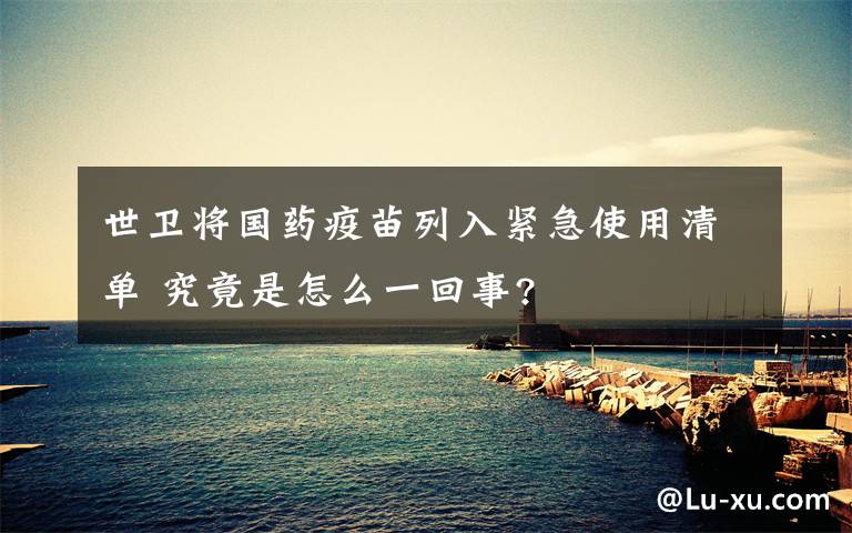 世卫将国药疫苗列入紧急使用清单 究竟是怎么一回事?