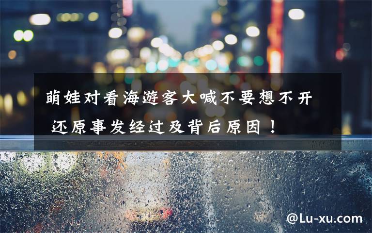 萌娃对看海游客大喊不要想不开 还原事发经过及背后原因!