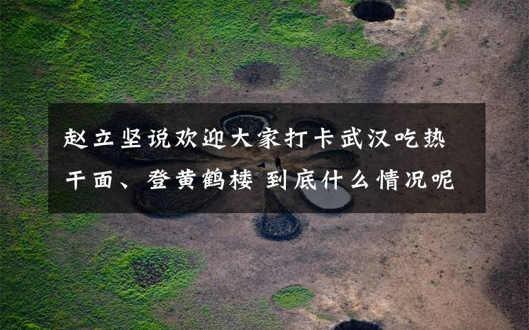 赵立坚说欢迎大家打卡武汉吃热干面、登黄鹤楼 到底什么情况呢?