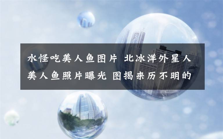 水怪吃美人鱼图片 北冰洋外星人美人鱼照片曝光 图揭来历不明的怪物