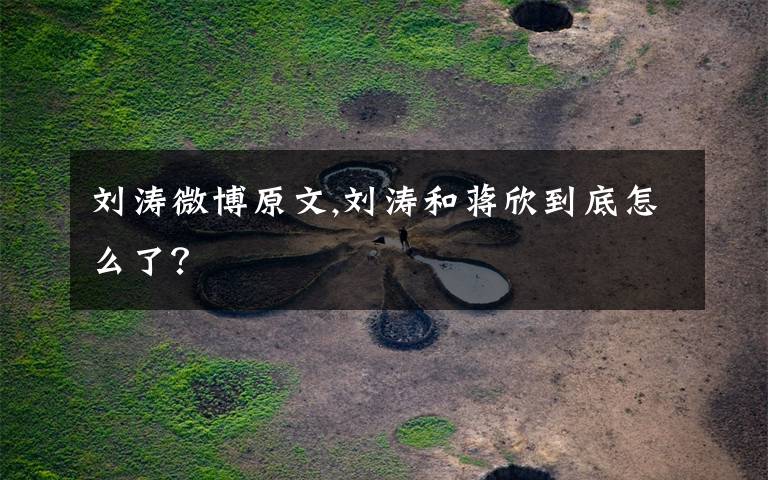 刘涛微博原文,刘涛和蒋欣到底怎么了?