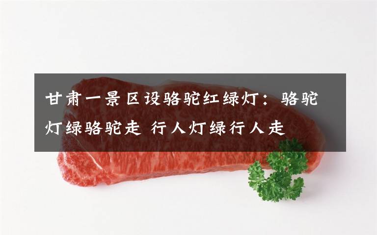 甘肃一景区设骆驼红绿灯：骆驼灯绿骆驼走 行人灯绿行人走