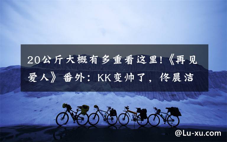 20公斤大概有多重看这里!《再见爱人》番外:KK变帅了,佟晨洁的“望夫成龙”如愿了