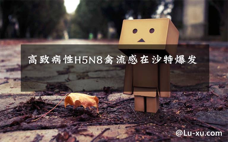 高致病性H5N8禽流感在沙特爆发