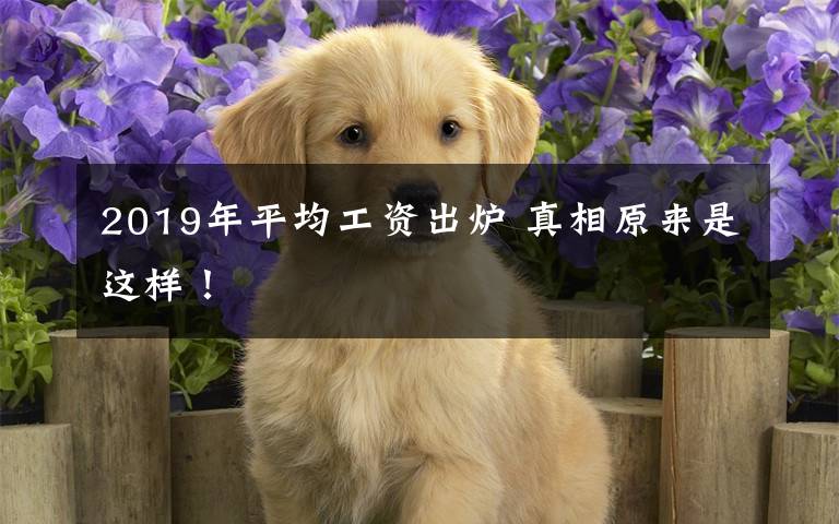 2019年平均工资出炉 真相原来是这样!
