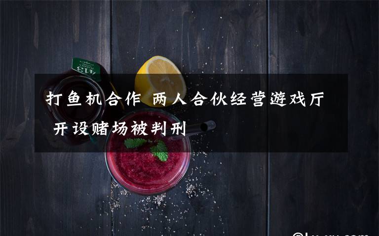 打鱼机合作 两人合伙经营游戏厅 开设赌场被判刑