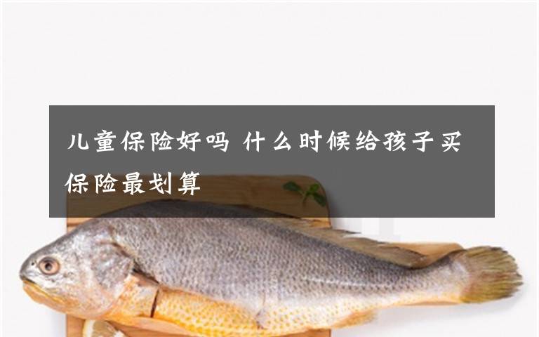 儿童保险好吗 什么时候给孩子买保险最划算