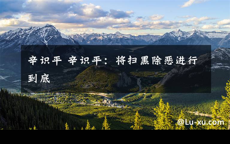 辛识平 辛识平：将扫黑除恶进行到底