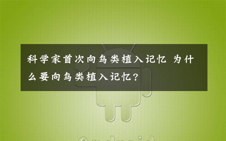 科学家首次向鸟类植入记忆 为什么要向鸟类植入记忆?