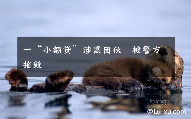 一“小额贷”涉黑团伙 被警方摧毁