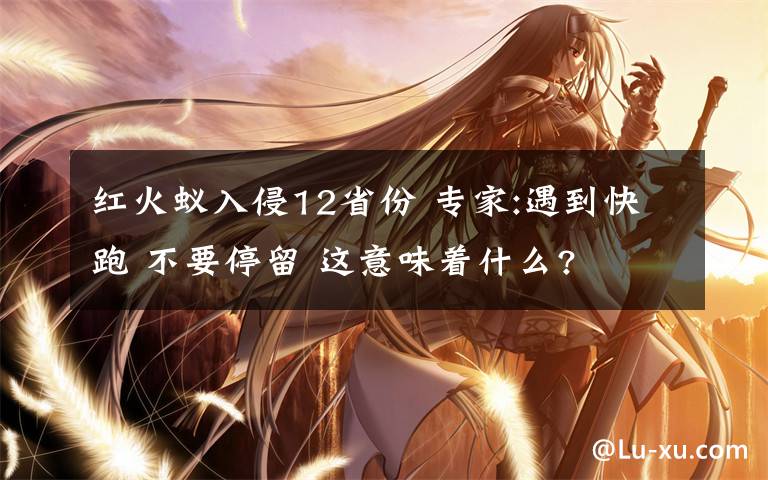 红火蚁入侵12省份 专家:遇到快跑 不要停留 这意味着什么?