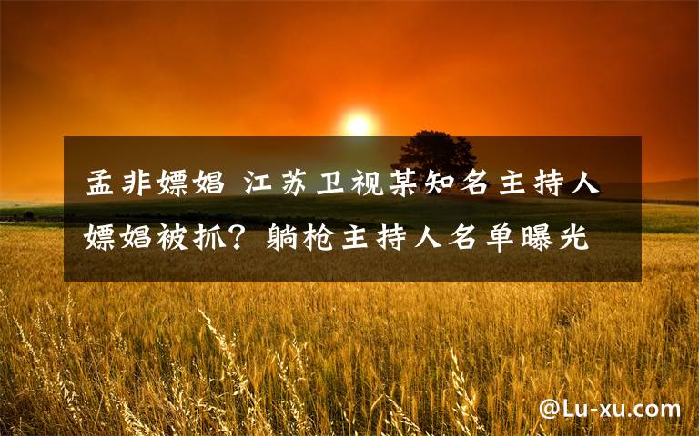 孟非嫖娼 江苏卫视某知名主持人嫖娼被抓？躺枪主持人名单曝光