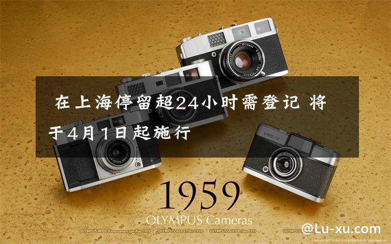 在上海停留超24小时需登记 将于4月1日起施行