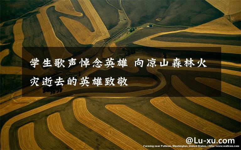 学生歌声悼念英雄 向凉山森林火灾逝去的英雄致敬