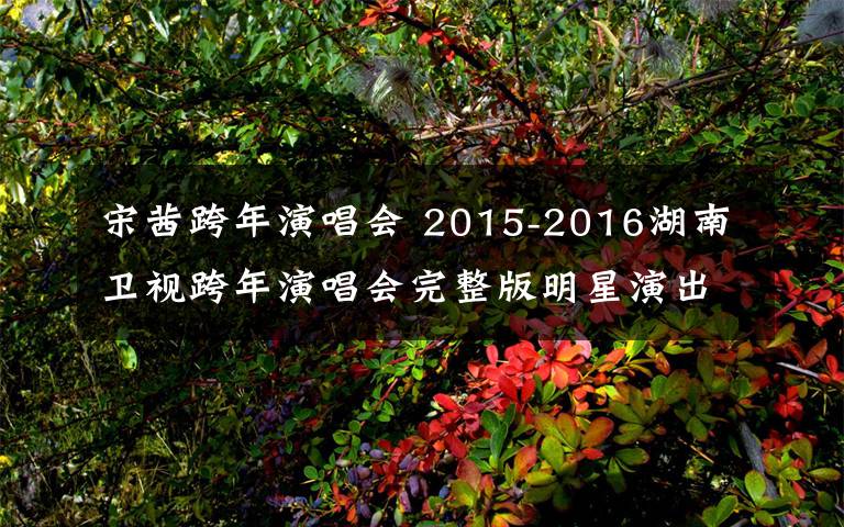 宋茜跨年演唱会 2015-2016湖南卫视跨年演唱会完整版明星演出阵容曝光