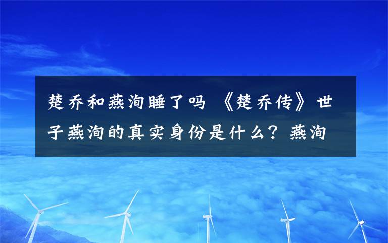 楚乔和燕洵睡了吗 《楚乔传》世子燕洵的真实身份是什么？燕洵和楚乔在一起了吗