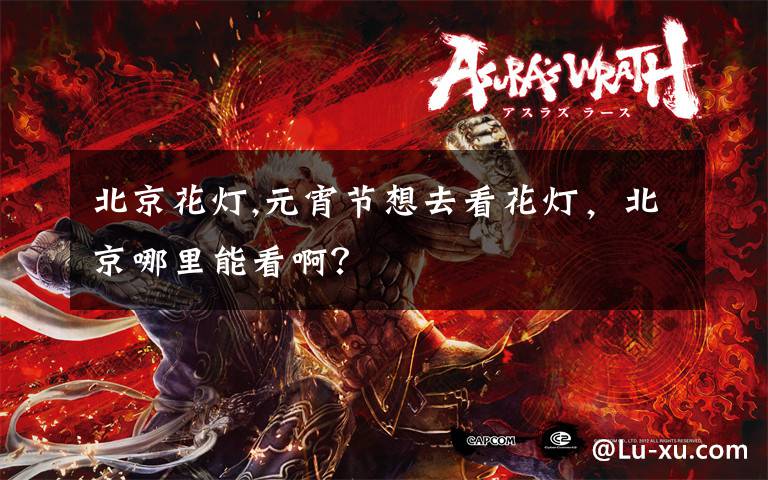 北京花灯,元宵节想去看花灯，北京哪里能看啊？