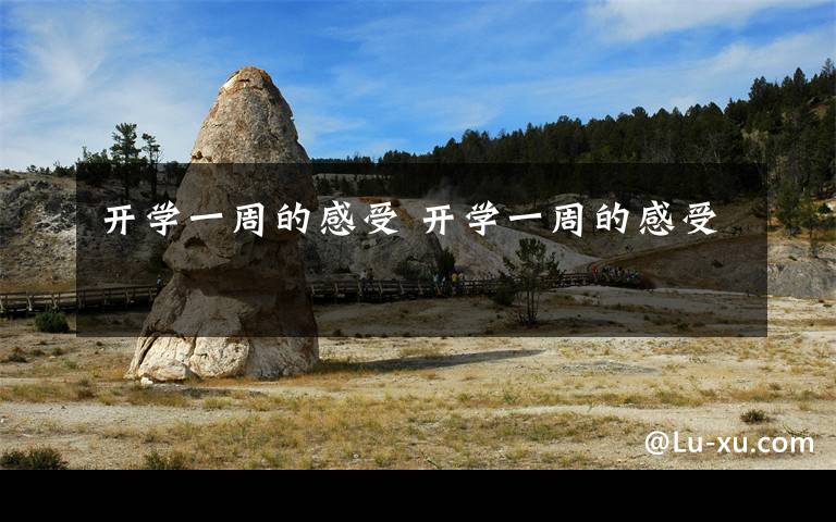 开学一周的感受 开学一周的感受