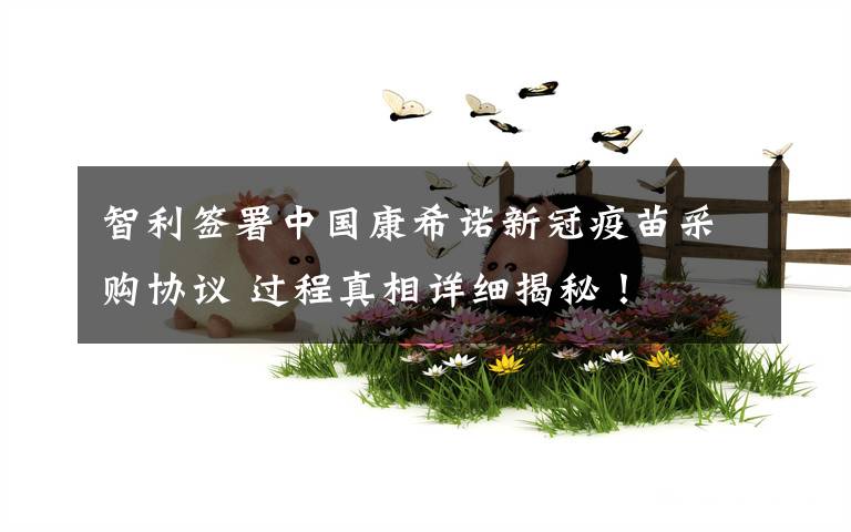 智利签署中国康希诺新冠疫苗采购协议 过程真相详细揭秘!