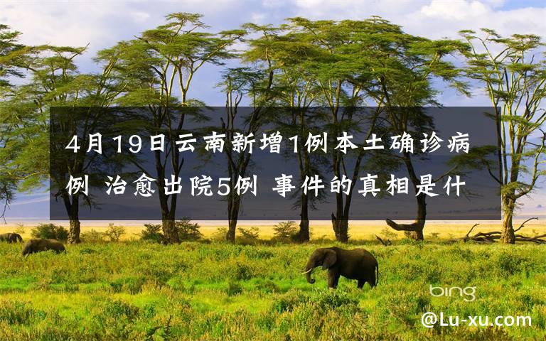 4月19日云南新增1例本土确诊病例 治愈出院5例 事件的真相是什么?