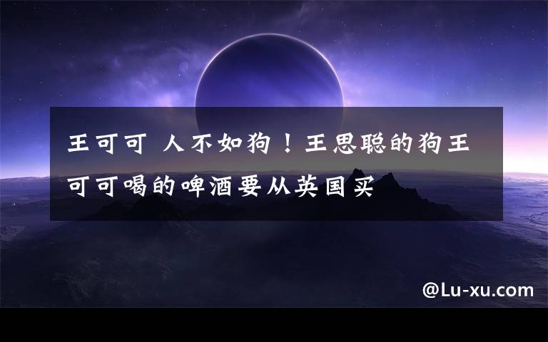 王可可 人不如狗!王思聪的狗王可可喝的啤酒要从英国买