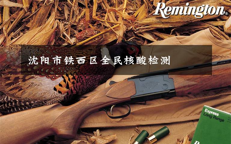 沈阳市铁西区全民核酸检测