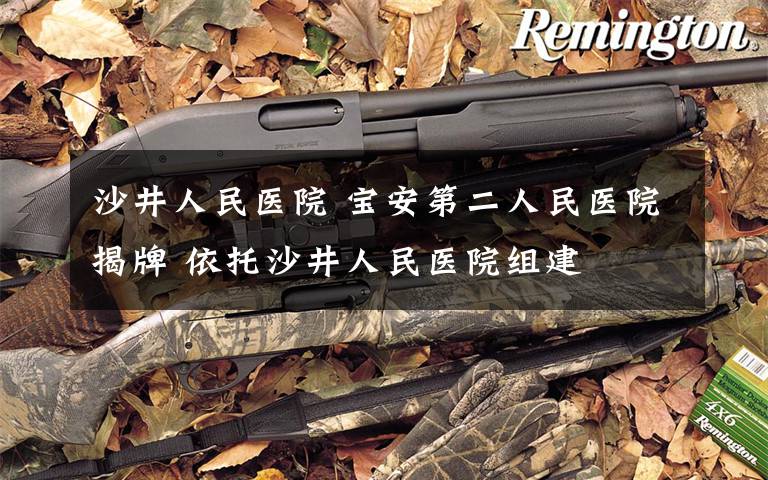 沙井人民医院 宝安第二人民医院揭牌 依托沙井人民医院组建