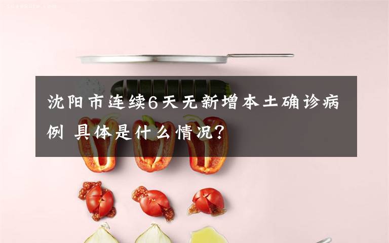 沈阳市连续6天无新增本土确诊病例 具体是什么情况?