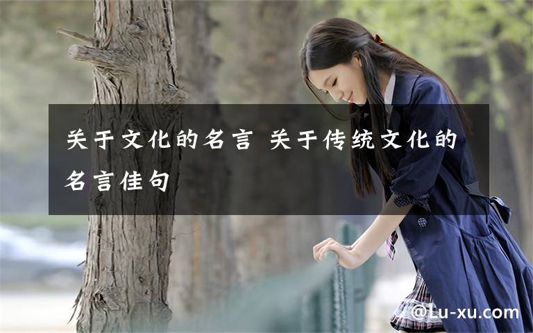 关于文化的名言 关于传统文化的名言佳句
