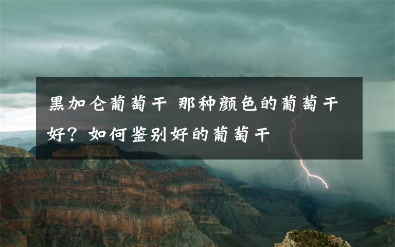 黑加仑葡萄干 那种颜色的葡萄干好?如何鉴别好的葡萄干