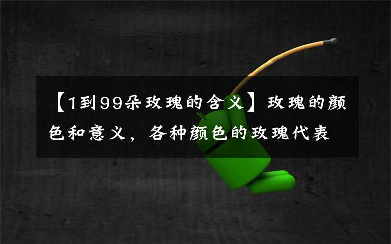 【1到99朵玫瑰的含义】玫瑰的颜色和意义,各种颜色的玫瑰代表什么?玫瑰花语全解读