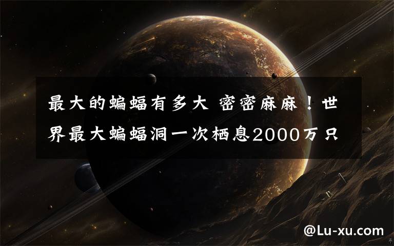 最大的蝙蝠有多大 密密麻麻!世界最大蝙蝠洞一次栖息2000万只蝙蝠