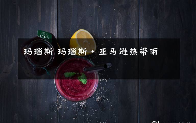 玛瑙斯 玛瑙斯·亚马逊热带雨林