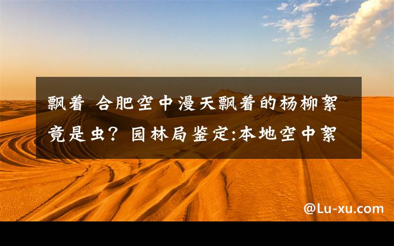 飘着 合肥空中漫天飘着的杨柳絮竟是虫？园林局鉴定:本地空中絮状物只是杨絮