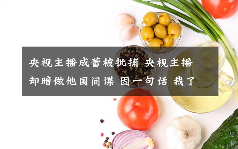 央视主播成蕾被批捕 央视主播 却暗做他国间谍 因一句话 栽了!